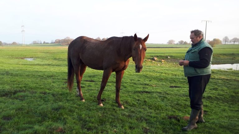 Ogatonango im Alter von 20 Jahren abgetreten