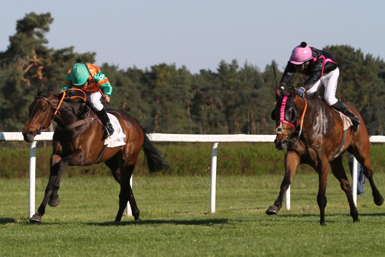 Fabian Xaver Weißmeier für sechs Tage am Zaun