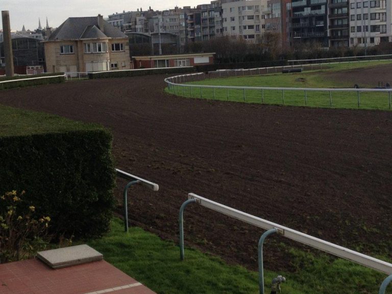 Belgischer Jockey Club mit „grünem Daumen“