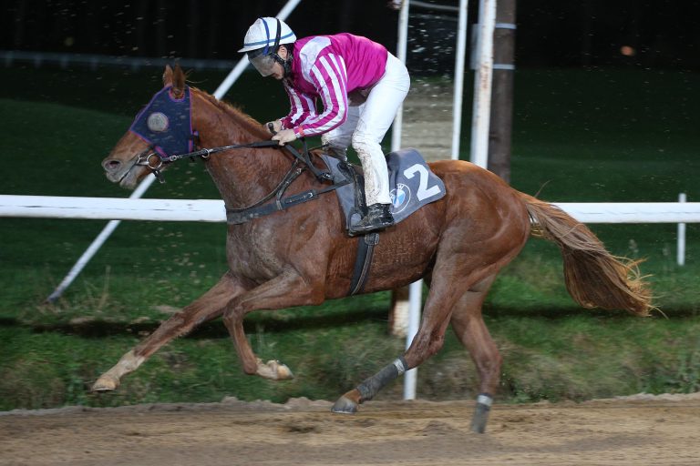 Opulent d’Oroux gewinnt Tierce-Handicap