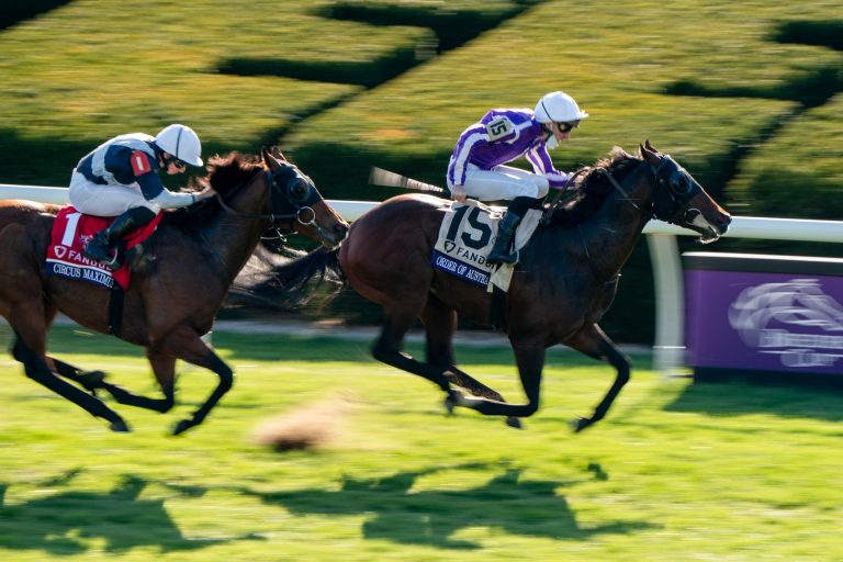 Order of Australia siegt – Real Appeal Vierter