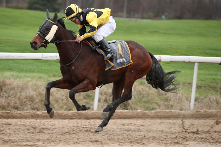 Oriental Princess (Archiv)