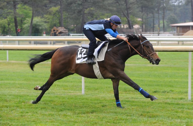 Osarus hat deutsche Käufer im Auge