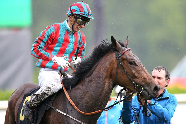 Amigo gegen Ostana: Das Highlight in Dresden