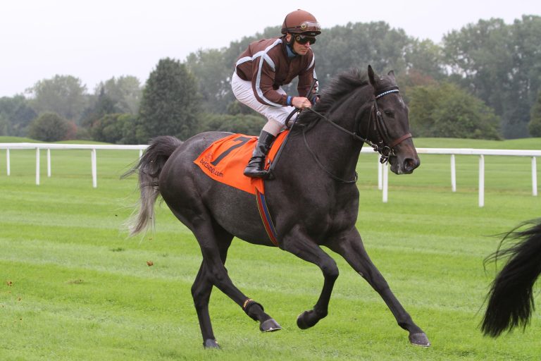 Starterin in Dortmund: Das Pferd, das durchs Dorf läuft
