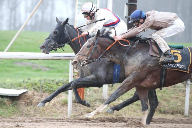 Outfit siegt vor Music Is Her Name