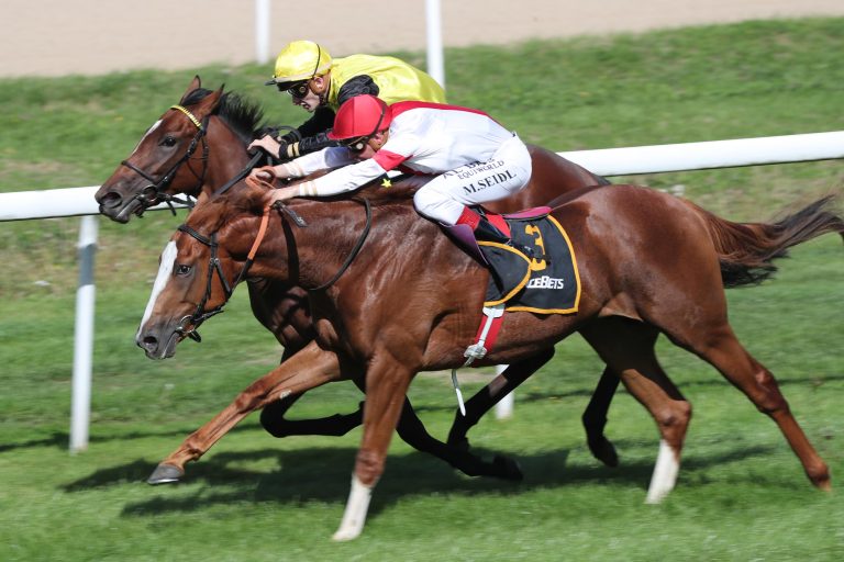 Zwei Derby-Hoffnungen nachgenannt