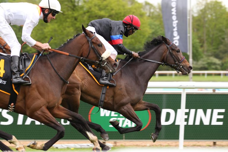 Palmas beim Debütsieg