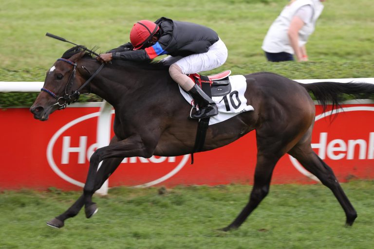 Foalshare: Palmas-Fohlen für 260.000 Euro an Paul Harley Bloodstock
