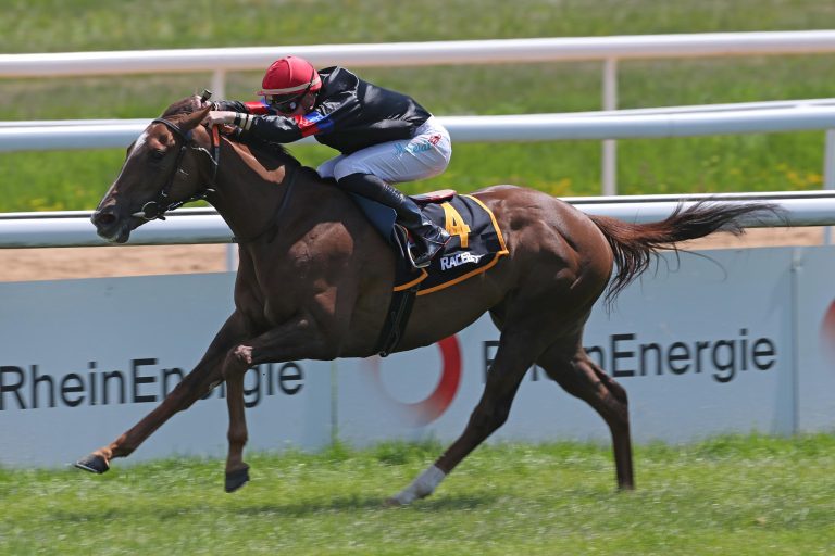 Palmita startet mit niedrigem Gewicht