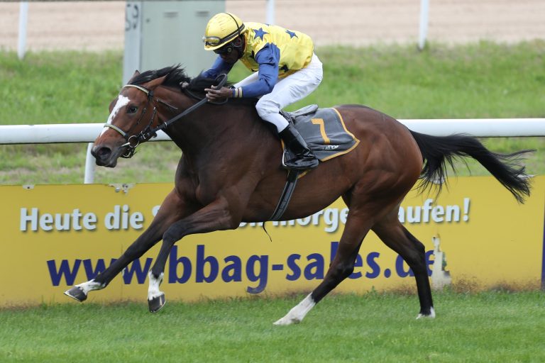 Wöhler punktet mit Novellist-Debütantin