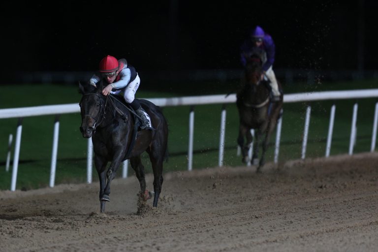 Paradise auf unpassendem Boden ohne Chance