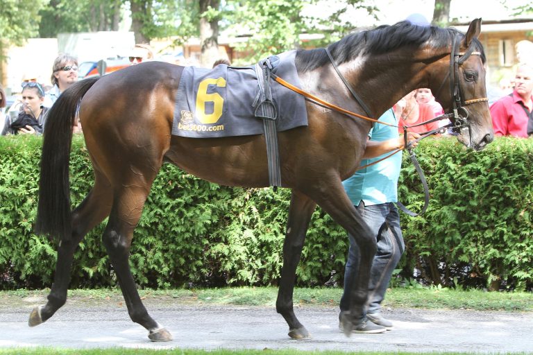 Mario Hofer: „Parthenius ist im Spiel“