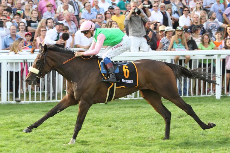 1 Million Euro: Fernsehkoch kauft Parvaneh