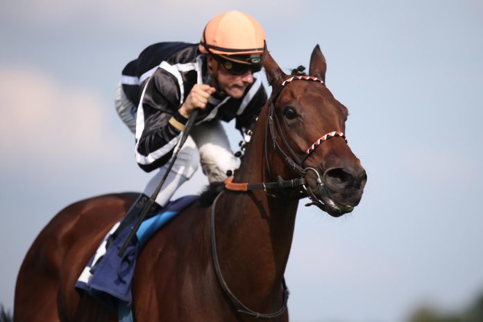 pas_de_deux_siegt_unter_martin_seidl