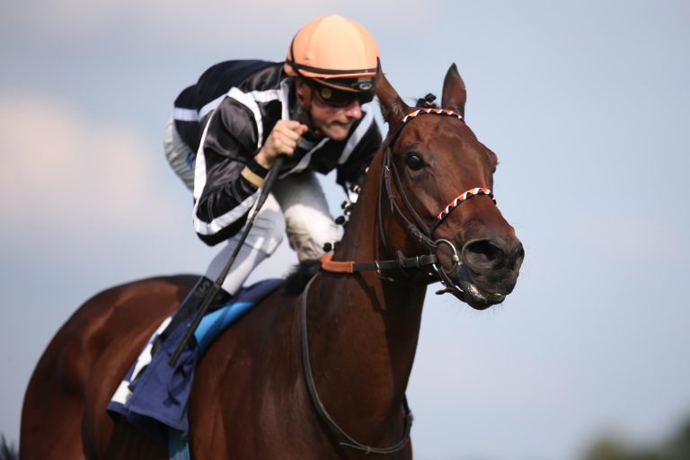 Pas de deux verletzt! Kein Paris-Start