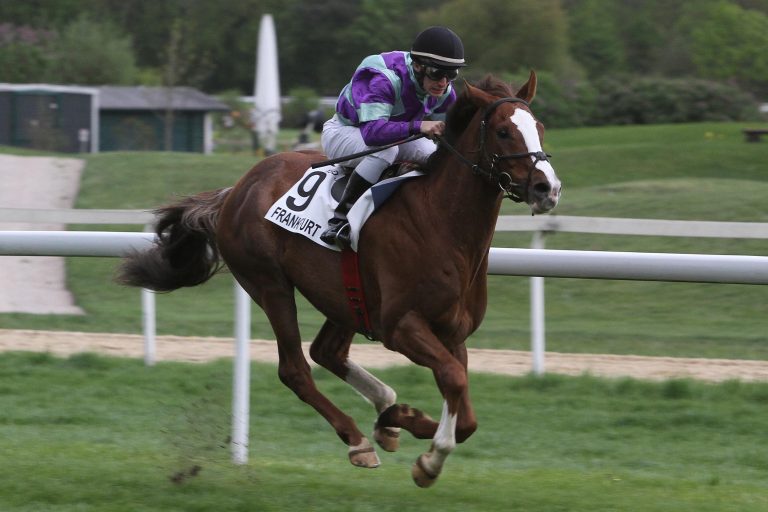 „Haben Championat noch nicht aufgegeben“