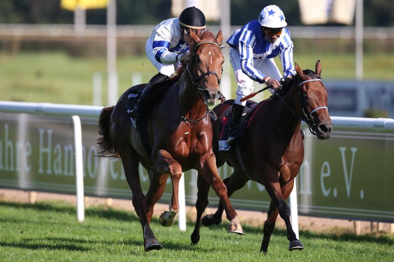 Demmes Pathfinder nach Unfall nicht zu retten