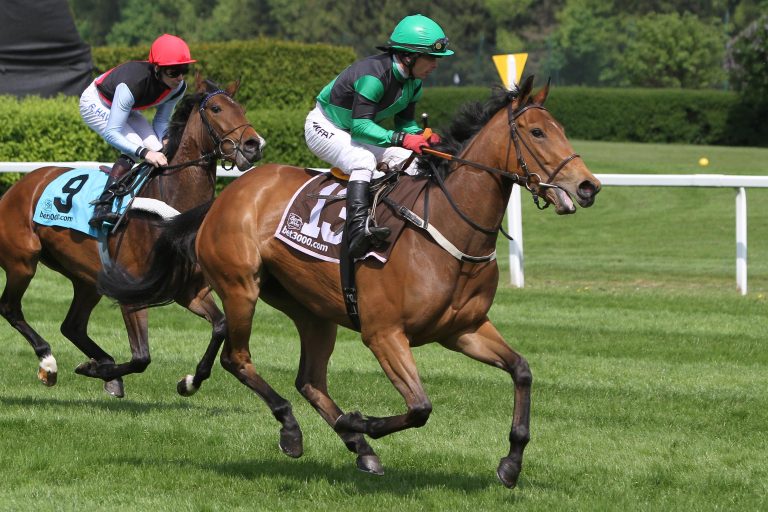 Pats Patricia siegt für John David Hillis