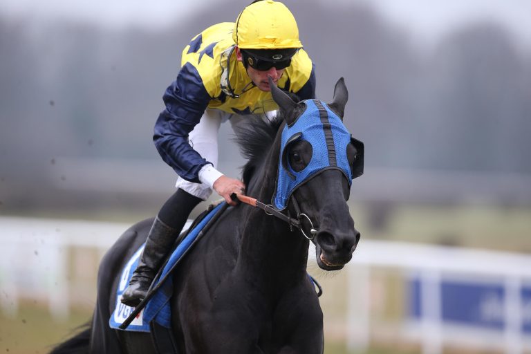 Internationale Note im Coolmore Stud Cup