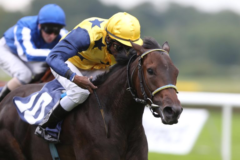 Noch 17 Stuten verbleiben im Preis der Winterkönigin