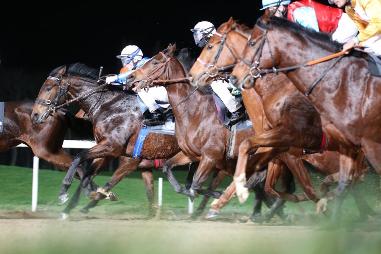 Tag der Kuriositäten im irischen Navan