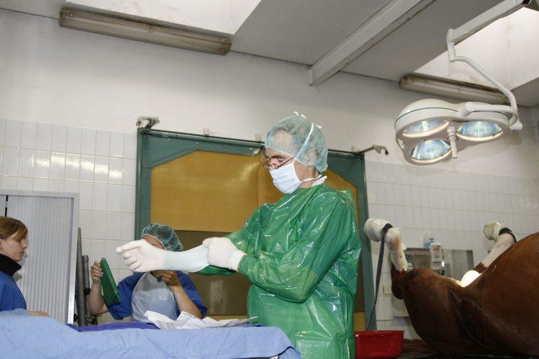 Pferdeklinik verlässt München-Riem