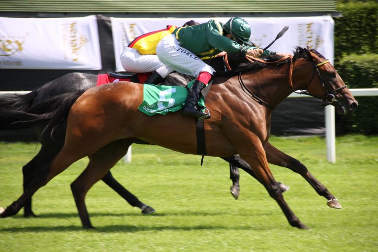 Der Magdeburger Herrenkrug feiert Daniele Porcu!