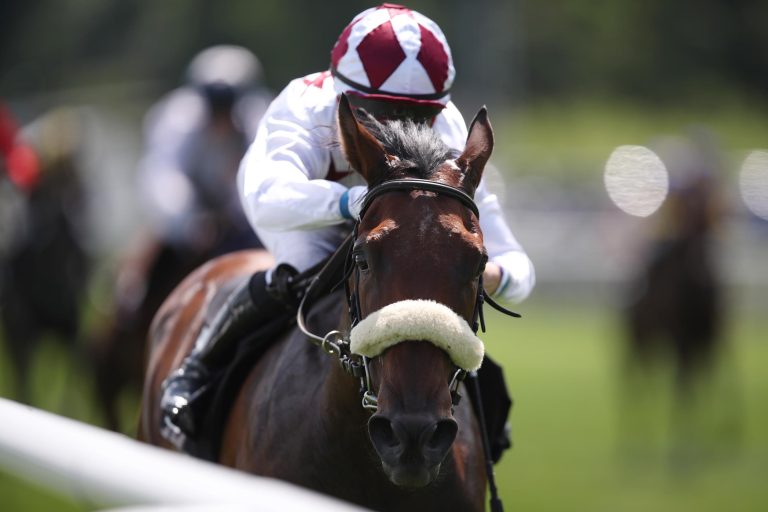 Picanto sorgt für Brieskorn-Sieg, Viererwette fett!