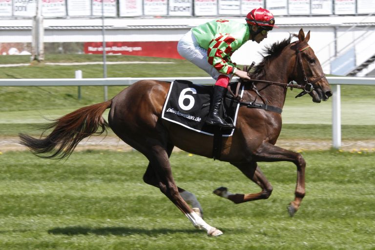 Deutsches Trio im Grand Prix de Lyon