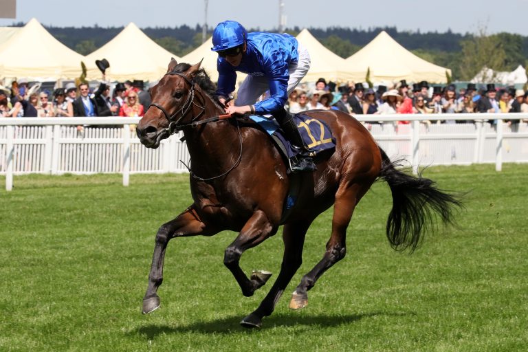 Pinatubo geht in die Zucht