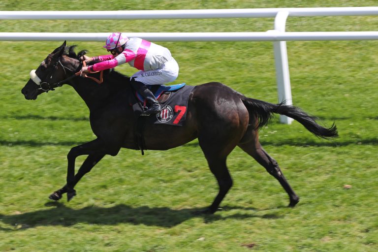 Pitch Black erster Sieger am Derby-Tag