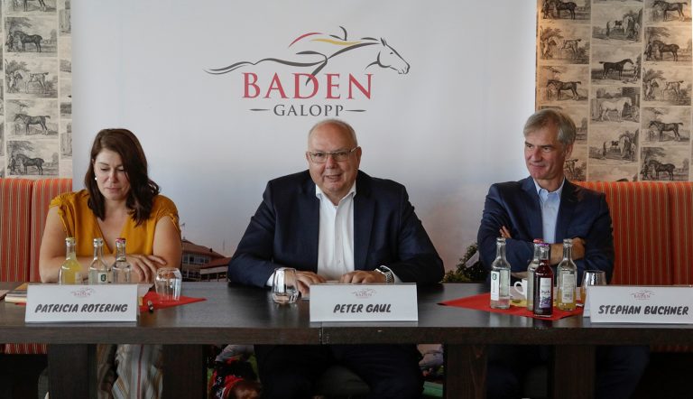 Patricia Rotering, Peter Gaul, Stephan Buchner