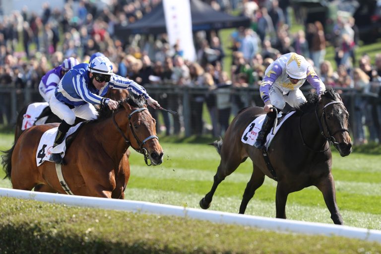 Poetic Dream mehr als nur ein Traum