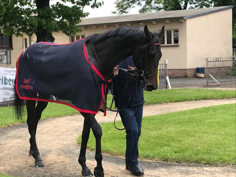 Hachtsee-Debütant Polarexpress rollt zum Sieg
