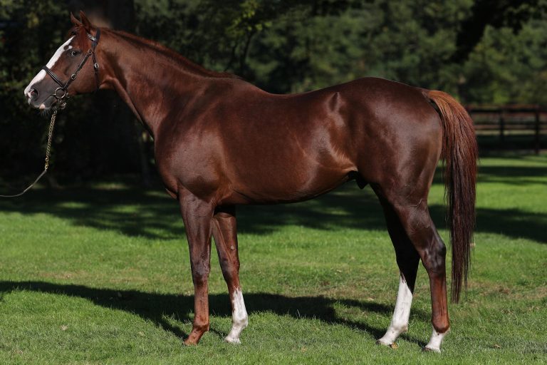 Polish Vulcano: Decktaxe bei 1800 Euro