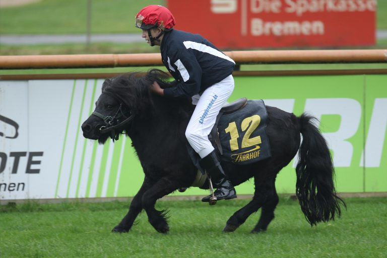 Reiter/innen für Dresdener Ponyrennen gesucht