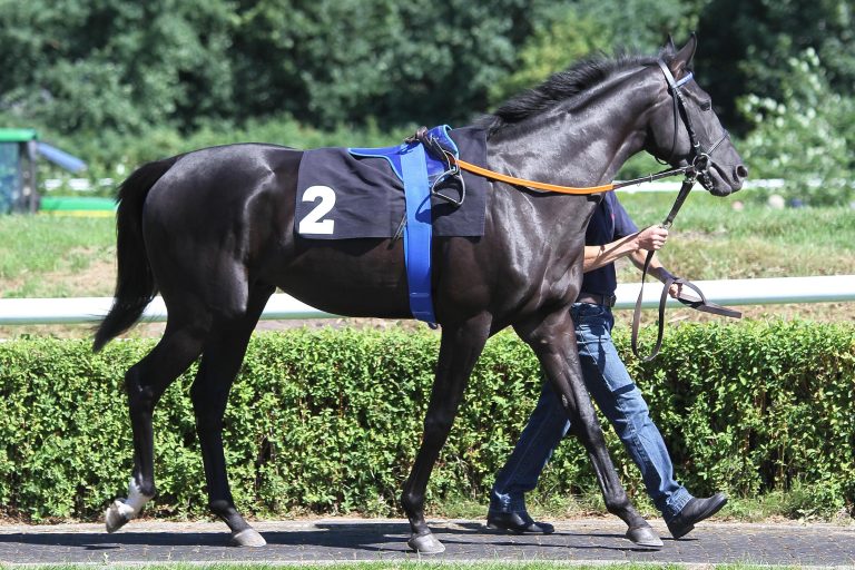 Ex-Deutscher Portentoso gewinnt 80.000er in Pau