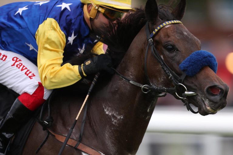 Affe fällt aus dem Nest: Praise mit 44 Kilo-Marke