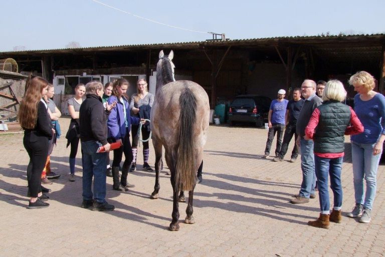 Prominenter Besuch beim Reiterlehrgang