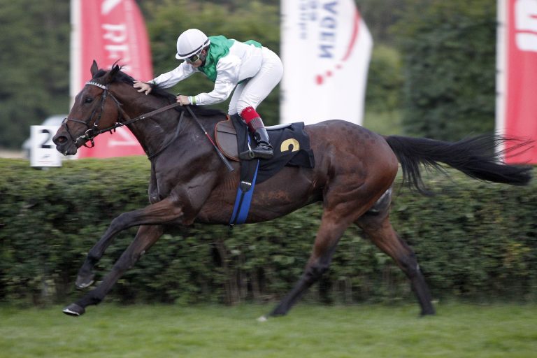 Precious Fire siegt in Nort-sur-Erdre