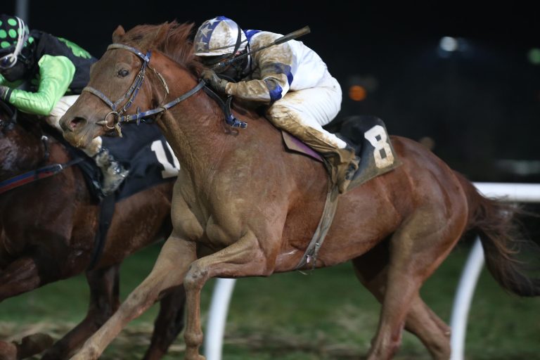 Hohe Quoten und zweimal Pietsch in Neuss