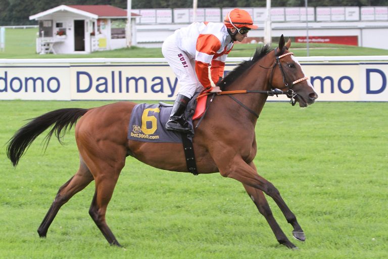 Totoschock durch Hofers Princess Asta