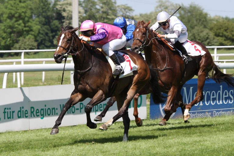 „Sparkassen-Preis“ geht nach Frankreich