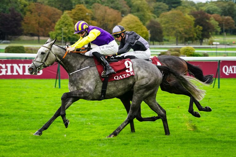 Planänderung? Princess Zoe für Cheltenham genannt