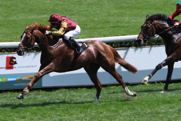 Wöhler und Schiergen top beim Derbyjahrgang