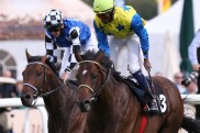 Protectionist und 37 weitere noch im Baden-Grand Prix
