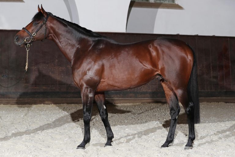 Protectionist Decksprung: Spende für Freddy Tylicki