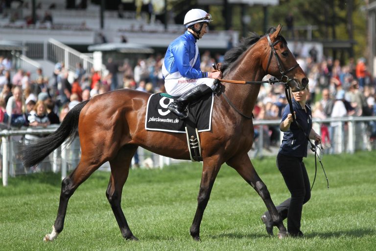 Fünf Hengste mit Derby-Nennung in München