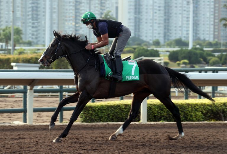 Gruppe I-Tournee für Pyledriver